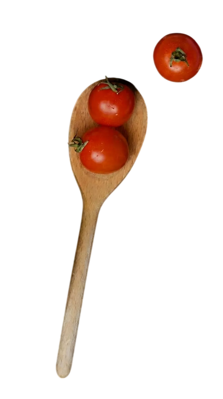 pan tomato