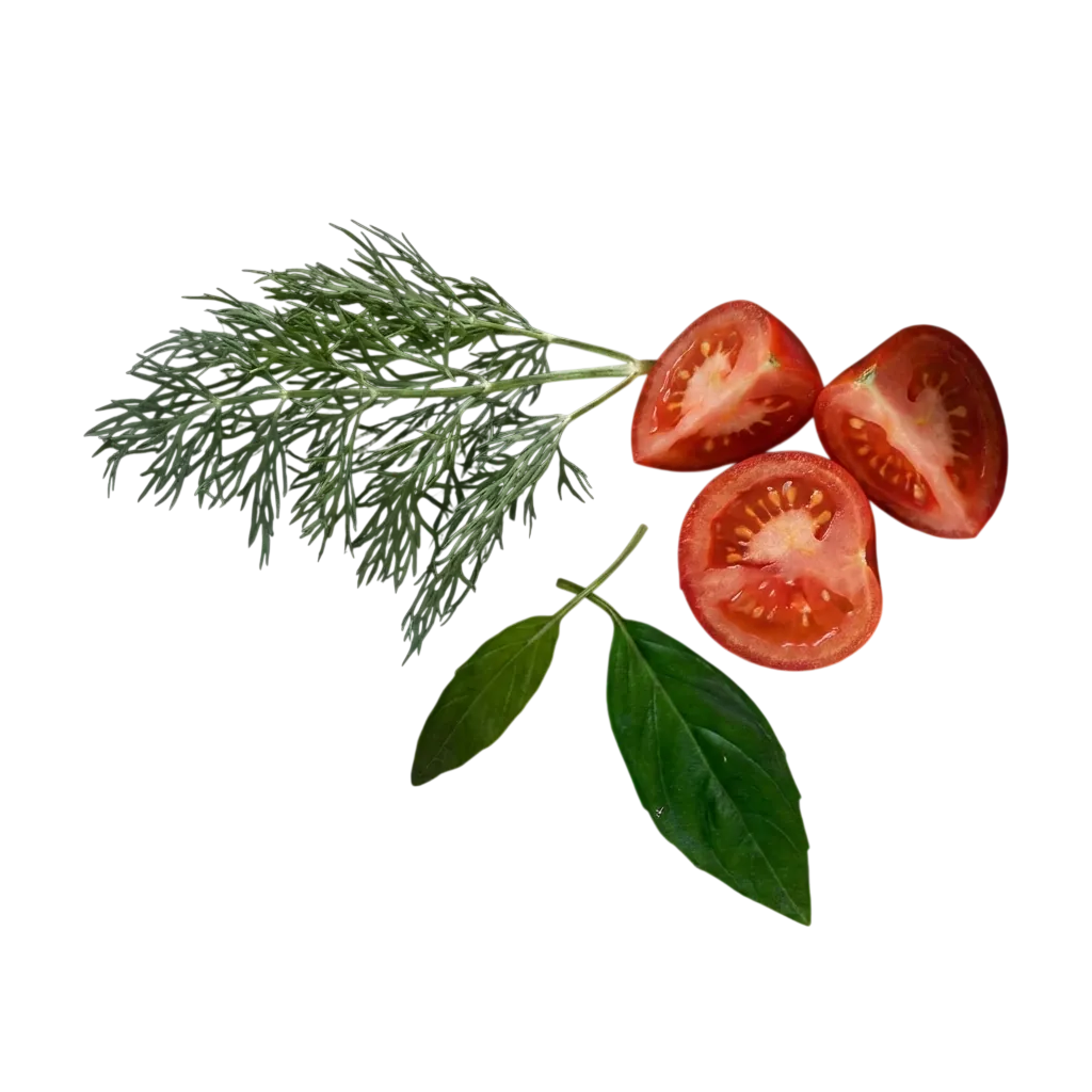 tomato leaves